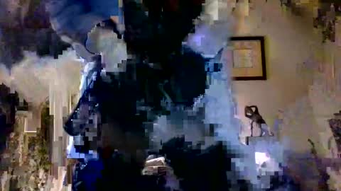 Snapshot of royboy2561 chatting on October 2025 07:18:01 AM Roy Murrin online show from October 2025 07:18:01 AM