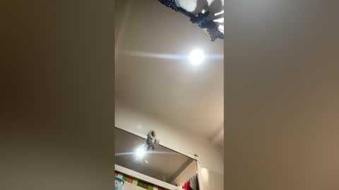 Rubi online show from March 2026 03:16:01 PM