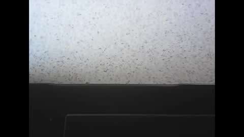 rubixman online show from April 2026 03:53:01 PM