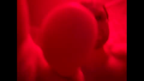 Snapshot of russianbear1917 chatting on October 2025 09:37:01 PM Mike online show from October 2025 09:37:01 PM