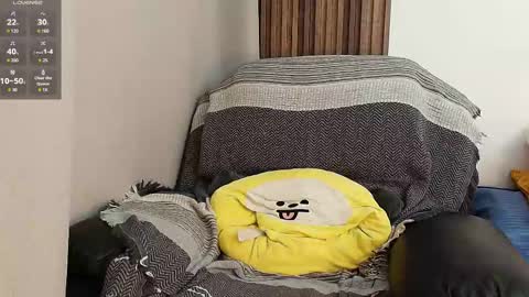 Sr Coast online show from April 2026 08:54:02 PM