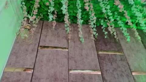 rynka online show from February 2026 07:51:01 AM