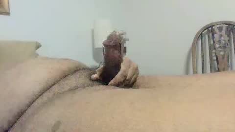 Snapshot of s901258 chatting on December 2024 01:58:01 PM s901258 online show from December 2024 01:58:01 PM