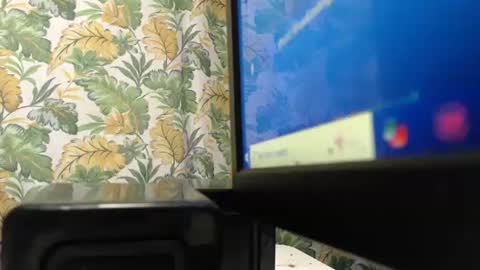 s_o_f_e_a online show from January 2026 01:38:01 PM