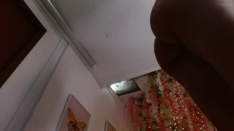 1 online show from April 2026 12:38:01 PM