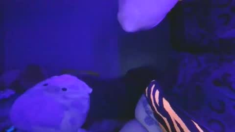 saddybaddie online show from March 2026 06:09:01 AM