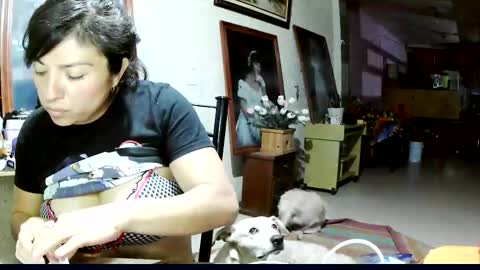 ruby  chocoholic cakeholic coffeeholic cookieholic online show from November 2025 02:01:02 AM