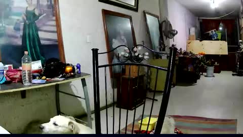 ruby  chocoholic cakeholic coffeeholic cookieholic online show from November 2025 12:16:02 AM