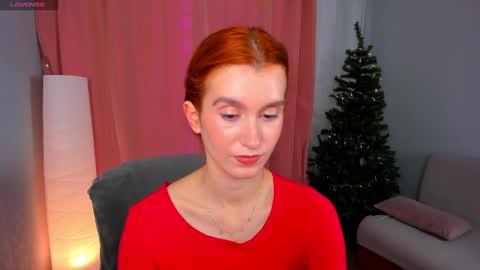 Snapshot of sallybiscuit chatting on December 2024 10:33:02 AM Sally online show from December 2024 10:33:02 AM