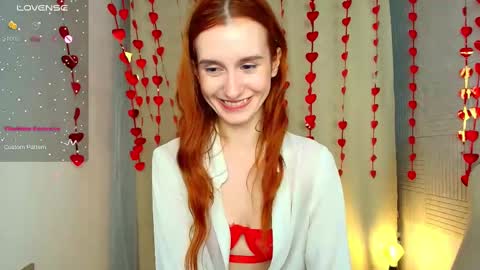 Snapshot of sallybiscuit chatting on February 2025 01:38:02 PM Sally online show from February 2025 01:38:02 PM