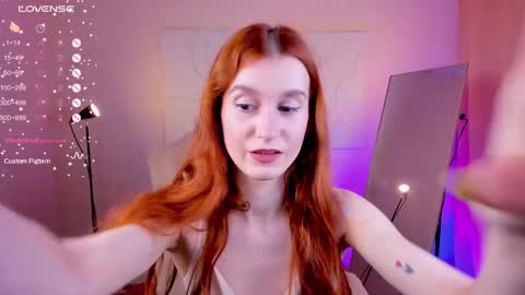 Snapshot of sallybiscuit chatting on February 2025 10:27:02 AM Sally online show from February 2025 10:27:02 AM