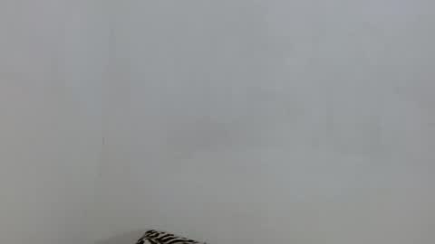 Snapshot of salome_blondie chatting on November 2025 06:29:01 PM salome online show from November 2025 06:29:01 PM