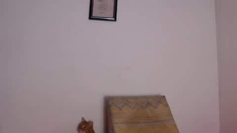 salvatore_amator online show from April 2026 02:04:02 PM