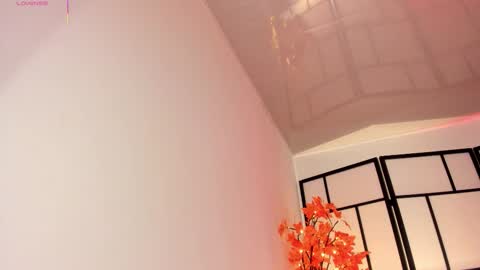 Sam online show from January 2026 01:16:02 PM