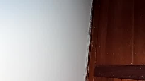 sam online show from February 2025 07:26:02 AM