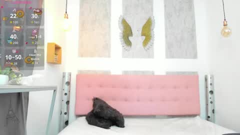    online show from April 2026 11:16:01 AM