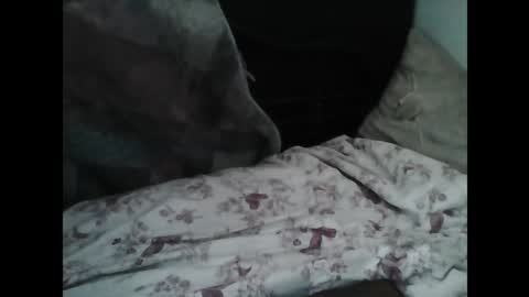 Samedisamedi1nouveau online show from March 2026 10:12:02 AM