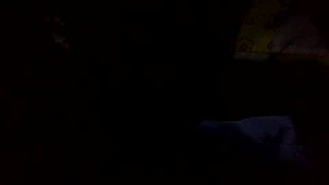 Snapshot of samjesss chatting on January 2025 03:26:02 AM samjesss online show from January 2025 03:26:02 AM