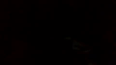 Snapshot of samjesss chatting on March 2025 02:28:02 AM samjesss online show from March 2025 02:28:02 AM