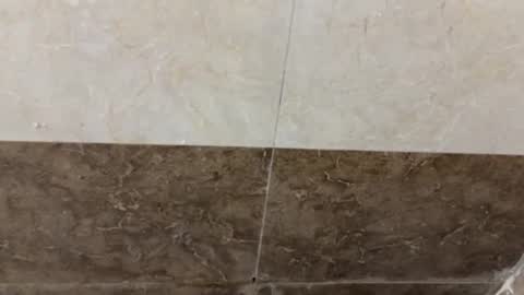 samnivin online show from November 2025 05:04:02 PM