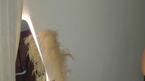 Snapshot of samy_jonnes_ chatting on February 2025 11:25:02 PM Hello I am absent due to a family calamity I will return soon-hola estoy ausente por un problema familiar volvere pronto. online show from February 2025 11:25:02 PM