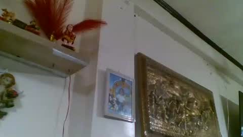 sanciangco197927 online show from January 2026 02:21:01 PM