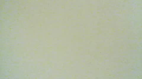 Snapshot of santiagodeamor7077 chatting on August 2026 04:15:02 AM santiagodeamor7077 online show from August 2026 04:15:02 AM