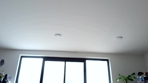 safir online show from May 2026 07:42:02 PM