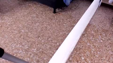 sara_salgado online show from February 2026 11:09:02 AM