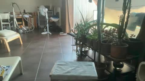 Sara Fossette online show from June 2026 11:10:01 AM