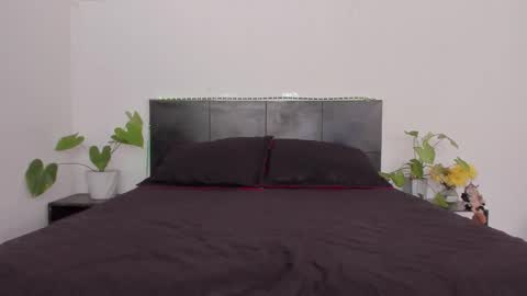 Girl next door online show from January 2025 08:37:02 PM