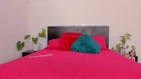 Girl next door online show from January 2025 08:51:01 PM