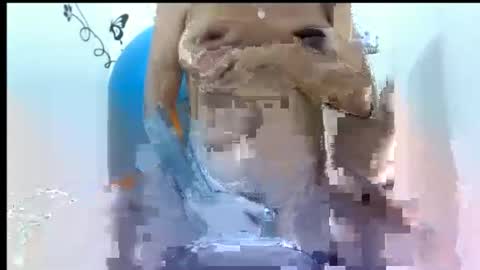 Sarah Fox online show from October 2025 06:47:01 PM