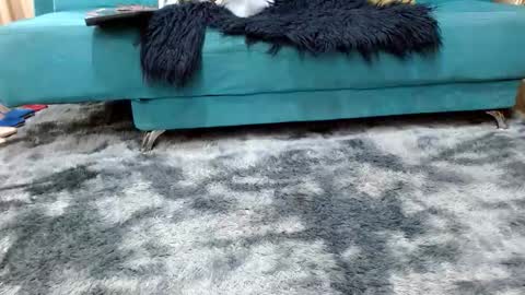 sarita_klein online show from November 2025 03:34:02 PM