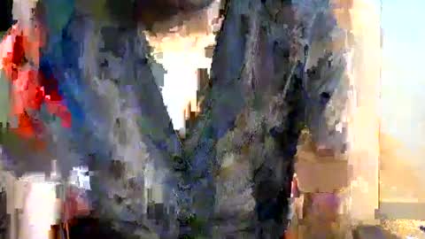 sassy_lyne online show from July 2026 10:28:02 PM