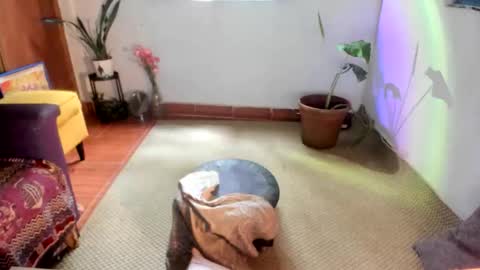 Ms. Oh   online show from January 2026 06:33:01 PM