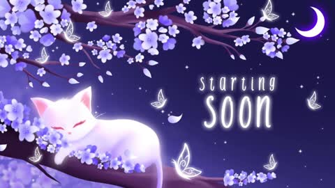 Sassy Sami Kittyn online show from January 2025 06:11:02 AM