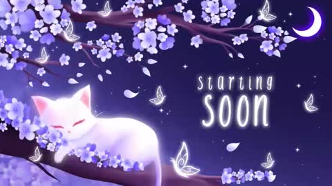 Sassy Sami Kittyn online show from December 2025 06:08:02 AM