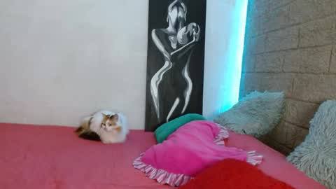 Sativa online show from December 2024 04:05:02 PM