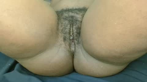 pety online show from June 2026 06:34:01 AM