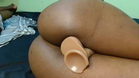 pety online show from June 2026 05:51:02 AM