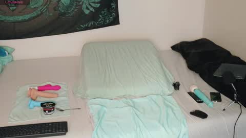 Bea online show from December 2024 04:30:01 PM