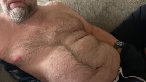 SaxBoBear online show from February 2026 02:28:01 PM