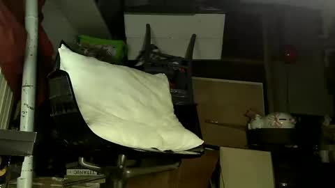 Sbamx online show from December 2024 05:29:02 AM