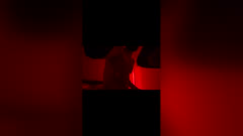 sbsesh online show from February 2026 12:02:02 PM