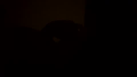 sc377003 online show from March 2025 02:54:01 AM