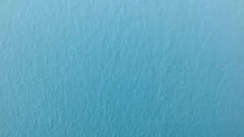 Snapshot of scarlet771776 chatting on November 2025 08:12:01 PM scarlet771776 online show from November 2025 08:12:01 PM