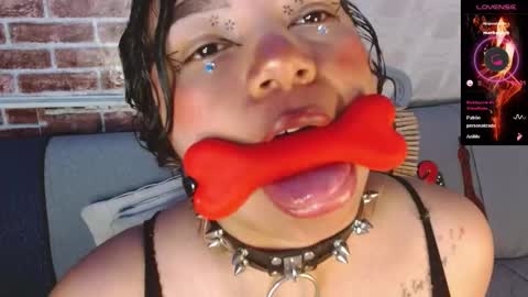 Scarlet online show from March 2026 06:19:01 AM