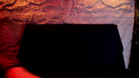 SCARLETT FOX  online show from September 2025 11:13:02 AM