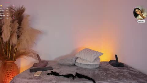 Snapshot of scarlett_keitt chatting on June 2026 11:48:01 AM scarlet online show from June 2026 11:48:01 AM